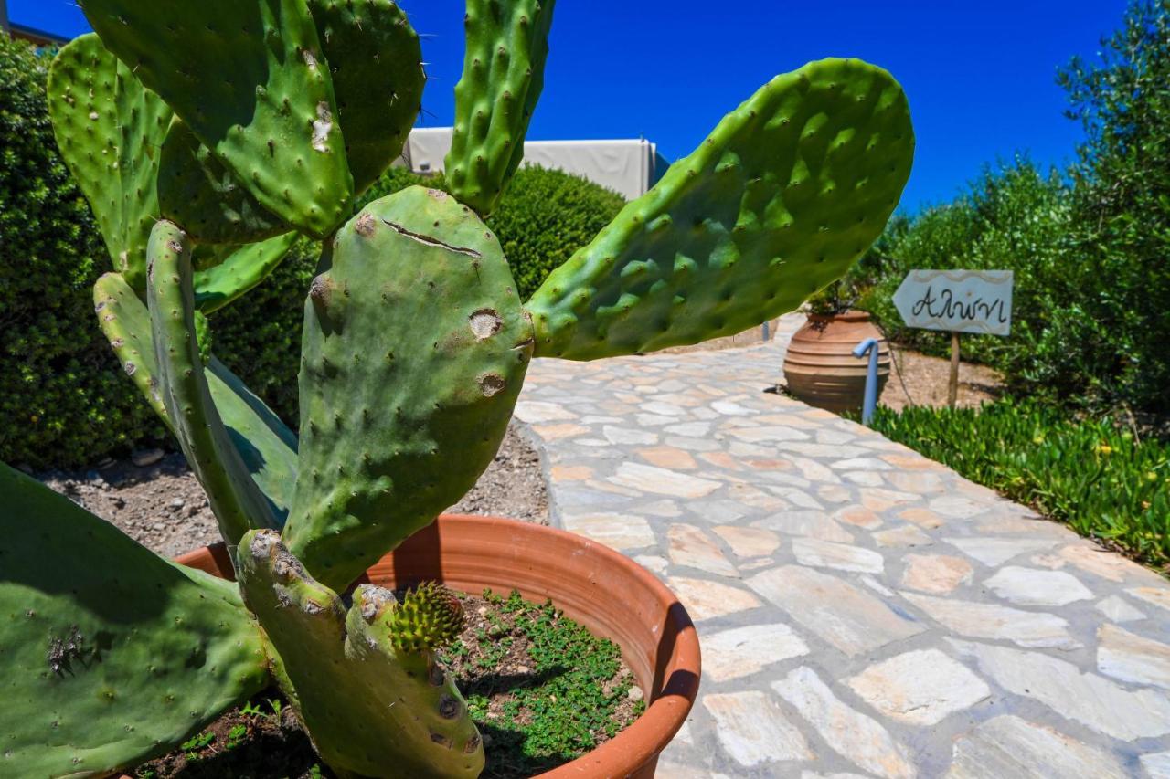 Schinoza Luxury Suites Schoinoussa Exteriér fotografie